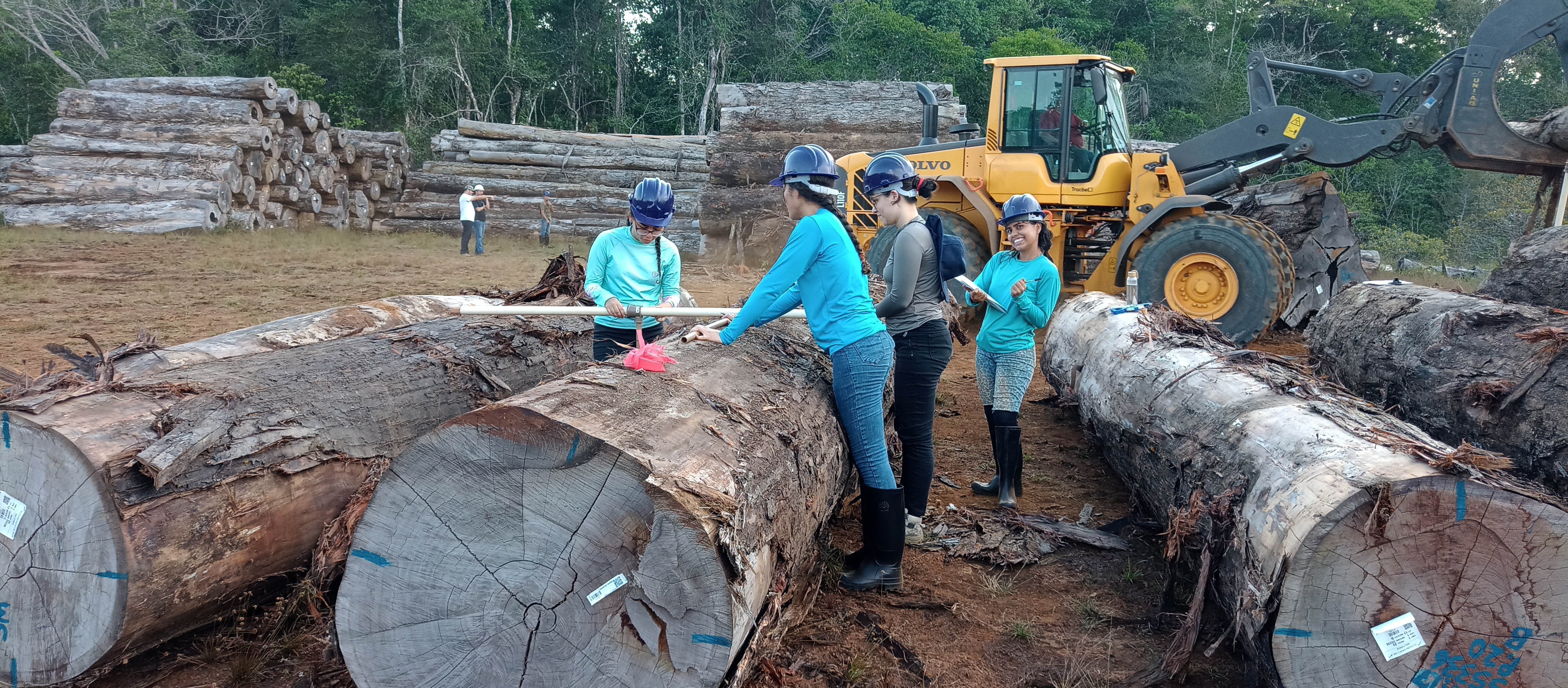 Atividade em campo 2