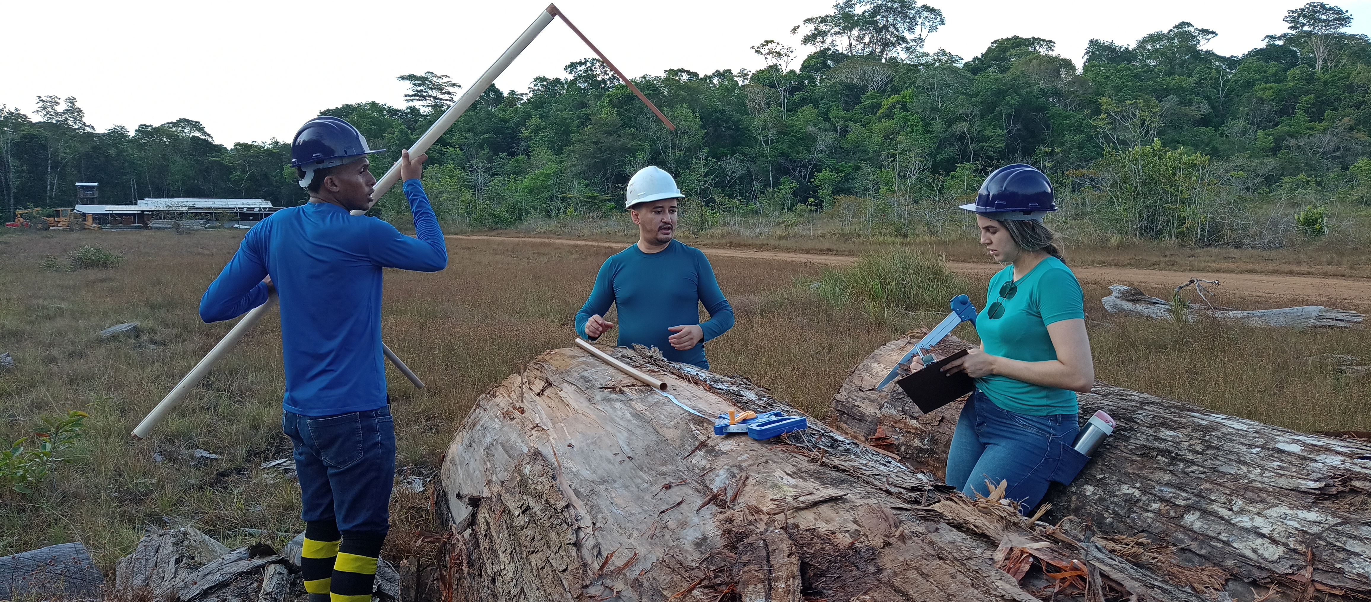 Atividade em campo 3