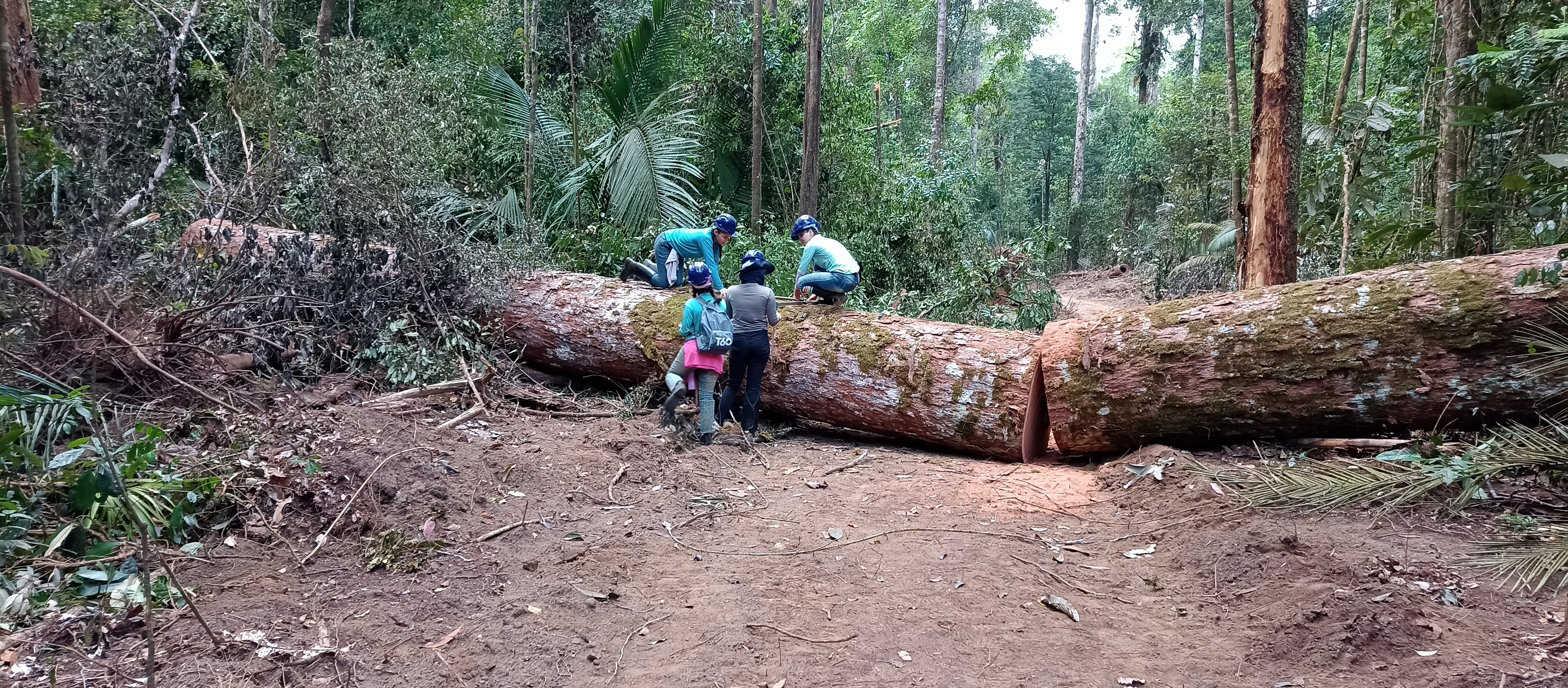 Atividade em campo 4